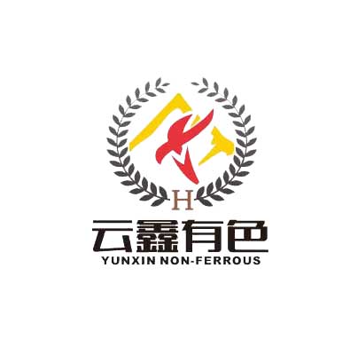 云鑫公司组织学习传达两会精神